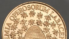 5000 tolarjev (academia)