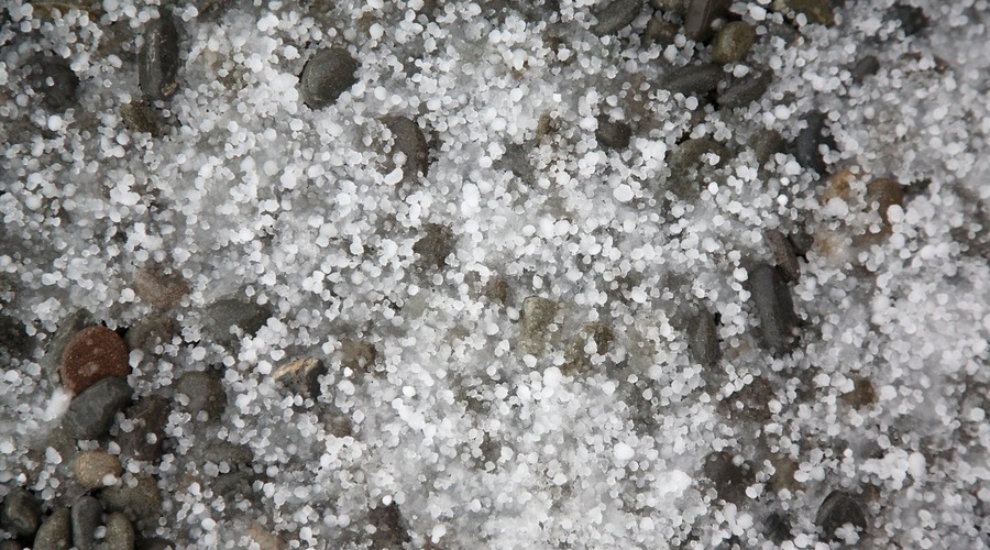 Neurje s točo v Avstriji povzročilo ogromno škode v kmetijstvu (foto: profimedia)