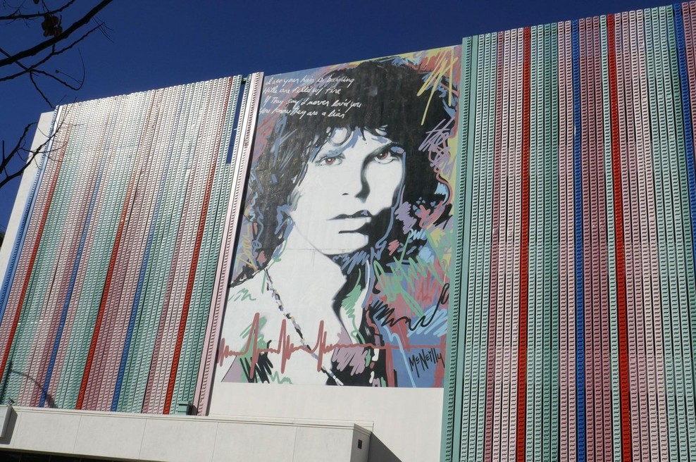 Pred pol stoletja je tragično umrl pevec skupine The Doors Jim Morrison (foto: profimedia)