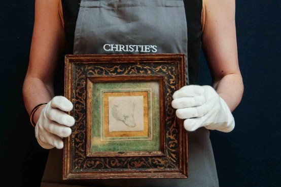 Za da Vincijevo risbico medvedje glave kupec na dražbi odštel 8,8 milijona funtov