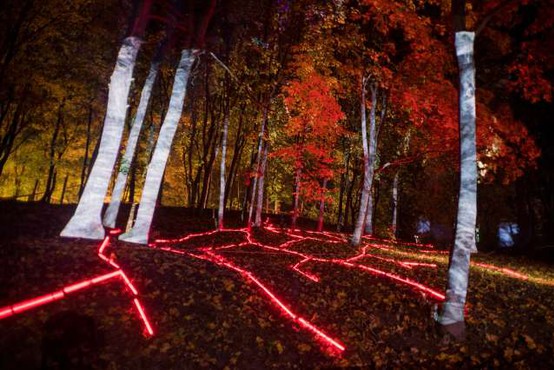 Japonski gozd zavzela digitalna svetlobna instalacija