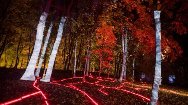 Japonski gozd zavzela digitalna svetlobna instalacija (foto: Xinhua/STA)
