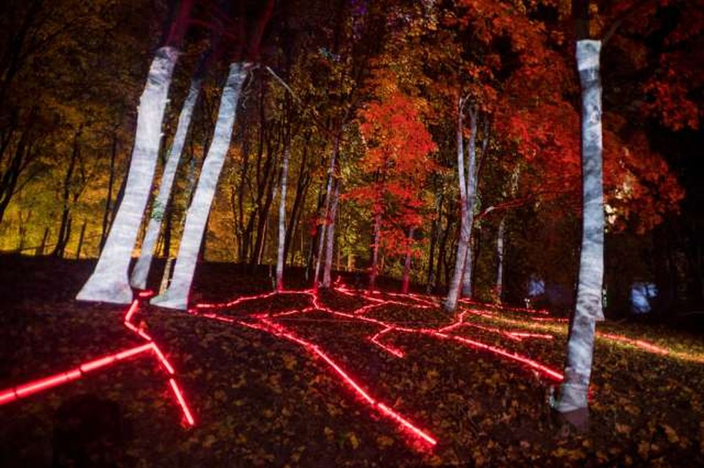 Japonski gozd zavzela digitalna svetlobna instalacija (foto: Xinhua/STA)