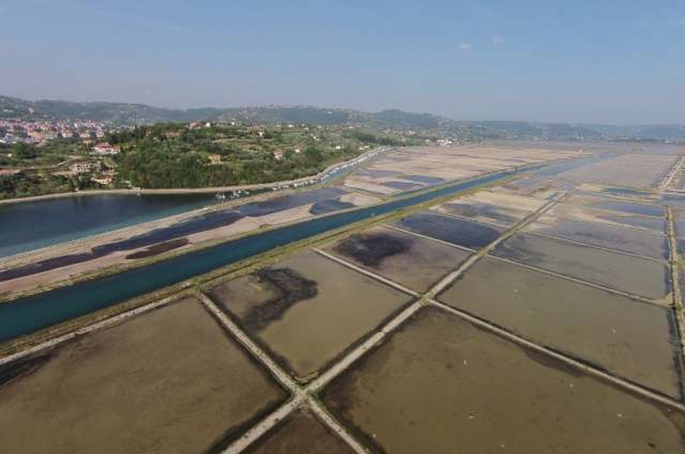 Solinarje v Sečoveljskih solinah je v pripravah na začetek sezone najbolj prizadel deževen maj (foto: Peter Černuta/STA)