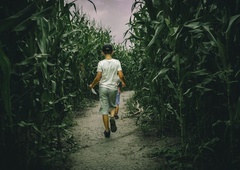 Koruzni labirinti pri nas vse bolj priljubljeni, poslej tudi v Krtini