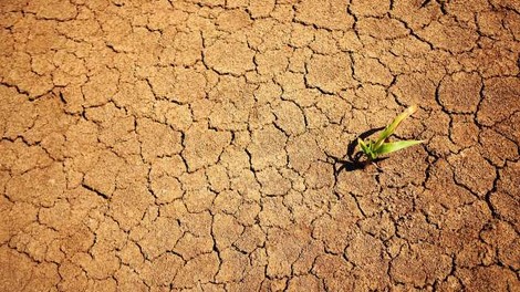 IPCC: Povprečna globalna temperatura okoli 2030 višja za 1,5 stopinje