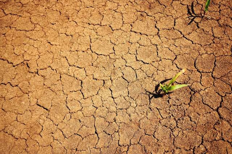 IPCC: Povprečna globalna temperatura okoli 2030 višja za 1,5 stopinje (foto: Xinhua/STA)