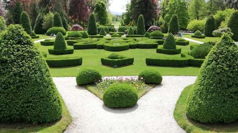 Razstava EU v vrtnicah v Arboretumu Volčji Potok