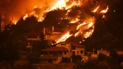 Grčija v plamenih: 10 pretresljivih fotografij obsežnih požarov