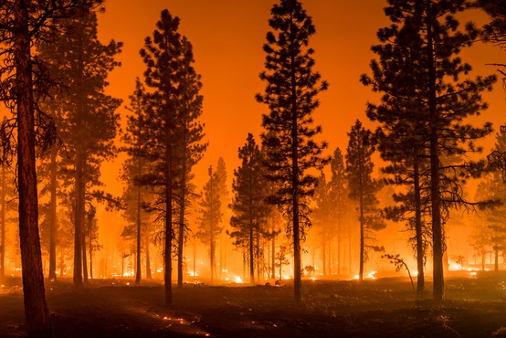 Kje tičijo pravi vzroki vse pogostejših obsežnih požarov v naravi?