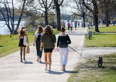 Kako je kratek sprehod razdvojil svet - na kateri strani vroče debate ste?