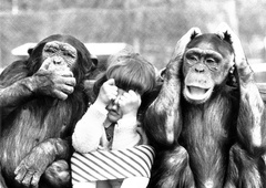 Tajenje kot psihološka obramba (zanikanja neprijetnih doživetij)