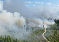 Požarom v Rusiji ni videti konca, letos so uničili območje za pol Nemčije
