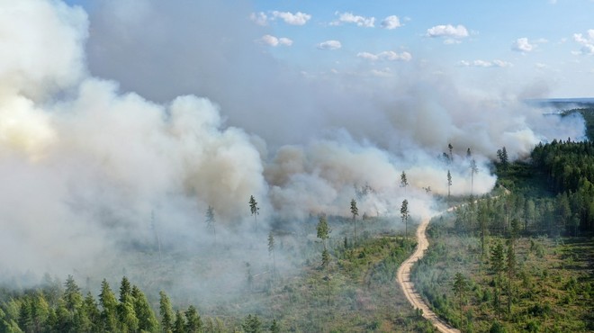 Požarom v Rusiji ni videti konca, letos so uničili območje za pol Nemčije (foto: profimedia)