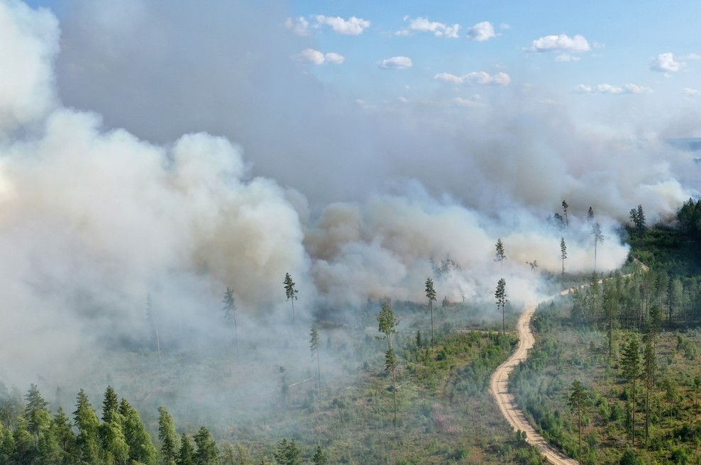Požarom v Rusiji ni videti konca, letos so uničili območje za pol Nemčije (foto: profimedia)