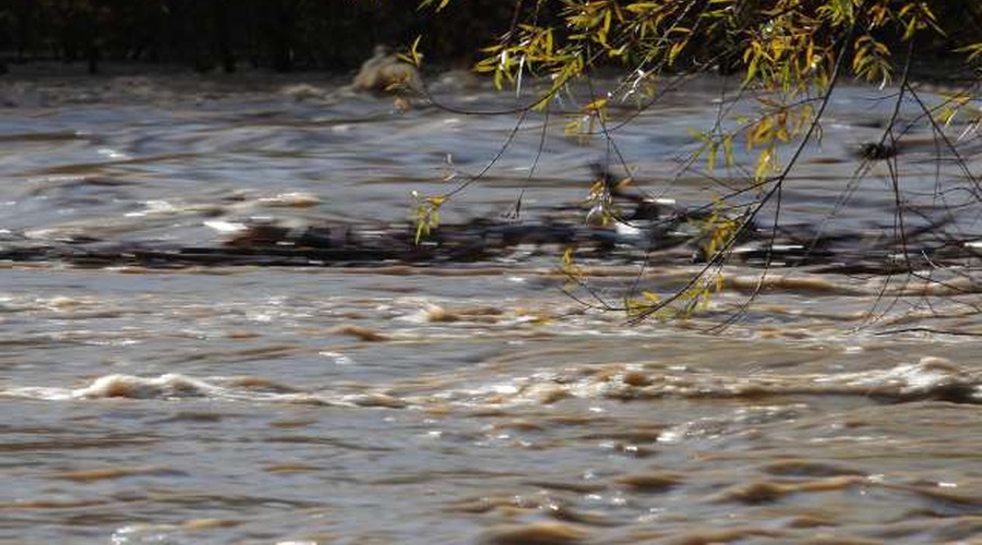 Z mikroplastiko najbolj onesnažena Sava (foto: Daniel Novakovič/STA)