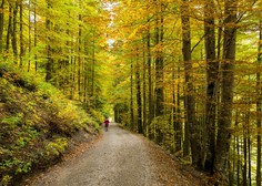 Priporočila za pohodništvo v jeseni: da bo vaš izlet v gorski naravi lepši!