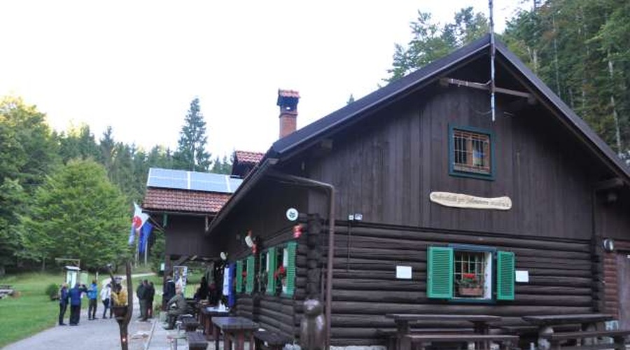 Tematska učna pot o risih odstira vpogled v njihovo življenje in pomen (foto: STA/Aleš Kocjan)