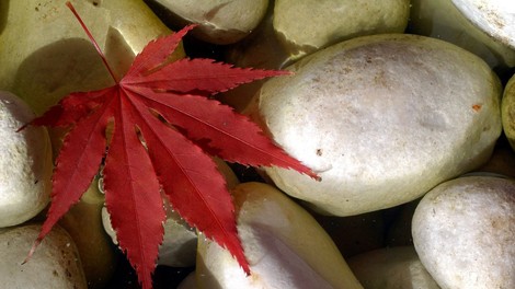 Vodena meditacija za več ljubezni in sočutja