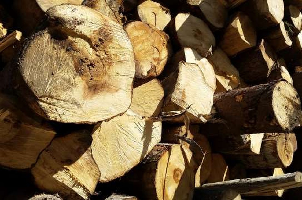 Vrednost gozdarske proizvodnje lani za 12 odstotkov nižja kot leto prej (foto: Aljoša Rehar/STA)