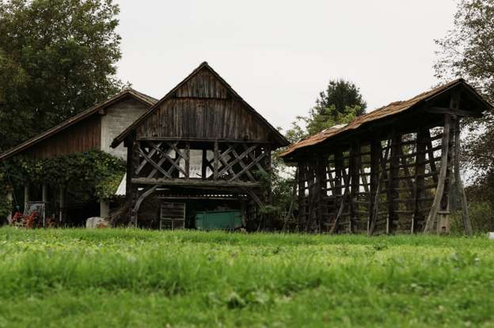 V zadnjem desetletju skoraj enako kmetijskih zemljišč, manj kmetij (foto: Tina Kosec/STA)
