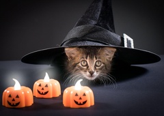 Po lanskem epidemičnem postu letos več prireditev za noč čarovnic