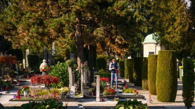 Dan bo minil v znamenju obiskov pokopališč (foto: Nebojša Tejić/STA)