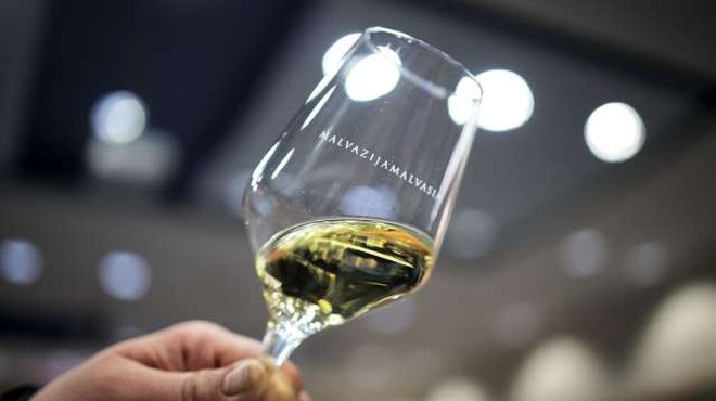 Slovenski vinarji letos pridelali manj, je pa vino kakovostno (foto: Daniel Novakovič/STA)