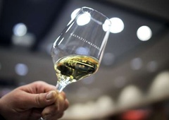Slovenski vinarji letos pridelali manj, je pa vino kakovostno