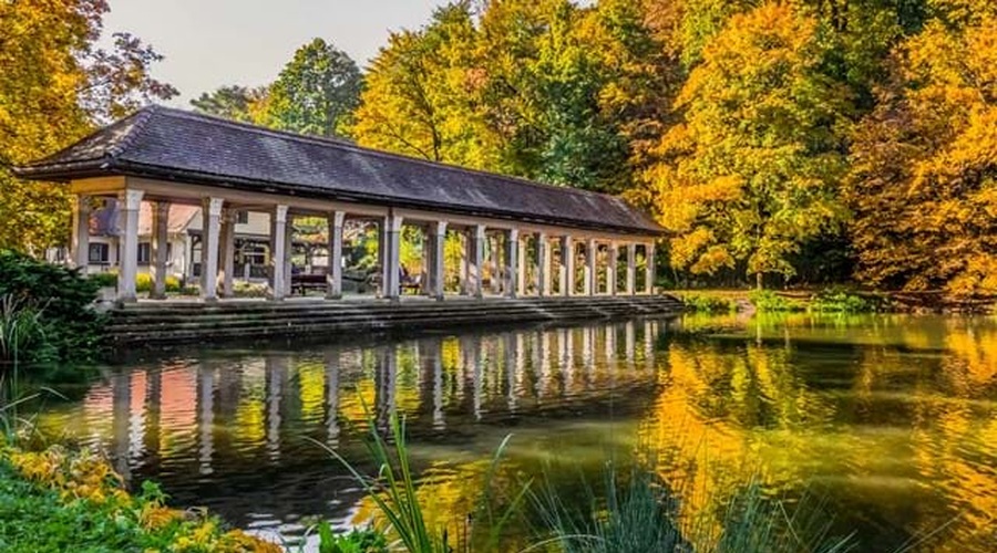 Trata, grm ali drevo – kaj je najboljše za zniževanje temperature v mestih? (foto: Avtor: Uroš Leva)