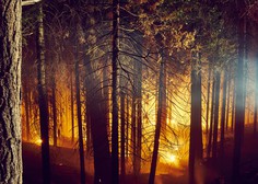 Sašo Dolenc: "Širjenje epidemije lahko primerjamo z gozdnim požarom."