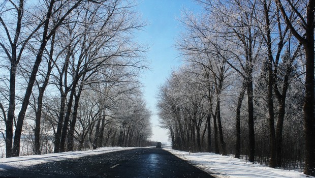 
                            V višjeležečih predelih Slovenije pada prvi sneg letošnje sezone (foto: profimedia)