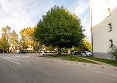 Drevo leta Ljubljane je kavkaški krilati oreškar