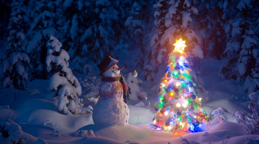 Decembrske tradicije po svetu: od zimskega solsticija do decembrskih tvistov (foto: profimedia)