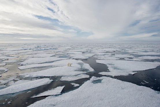 Podnebni pomen morskega ledu (in njegov vpliv na kroženje oceanov)