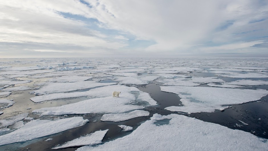 
                            Podnebni pomen morskega ledu (in njegov vpliv na kroženje oceanov) (foto: profimedia)