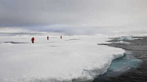 WMO potrdila temperaturni rekord 38 stopinj Celzija na Arktiki