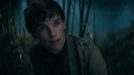 Prvi napovednik filma: MAGIČNE ŽIVALI - Dumbledoreve skrivnosti