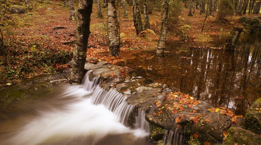 November nadpovprečno topel in namočen ter podpovprečno osončen (foto: Profimedia)