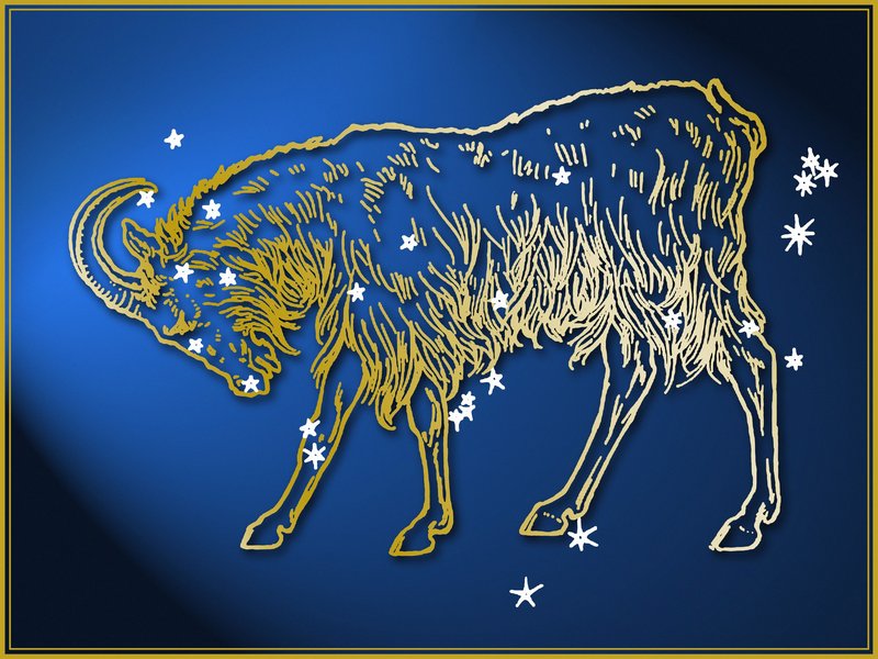 To astro znamenje velja na najbolj vzdržljivo, čisto nobena življenjska situacija teh ljudi ne "podre"