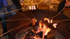 Vstopite v pravo praznično doživetje na Vrtu Lili Novy!