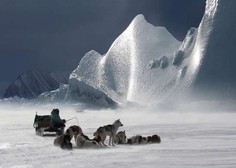 Na Grenlandiji poročajo o izredno visokih temperaturah