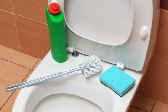 Super učinkovit trik s TikToka, ki vam bo olajšal čiščenje straniščne školjke