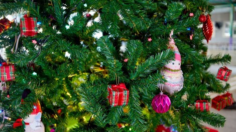 12 najbolj nenavadnih božičnih tradicij na svetu