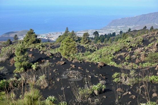 Vulkan Cumbre Vieja na Kanarskih otokih se je po dobrih treh mesecih umiril