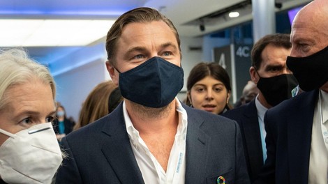 Odkrili novo vrsto drevesa in ga imenovali po Leonardu DiCapriu