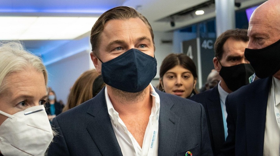 Odkrili novo vrsto drevesa in ga imenovali po Leonardu DiCapriu (foto: Profimedia)