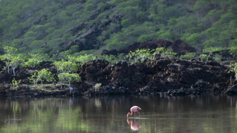 Tihomorski koridor, ki se razprostira do najlepšega otoka na svetu