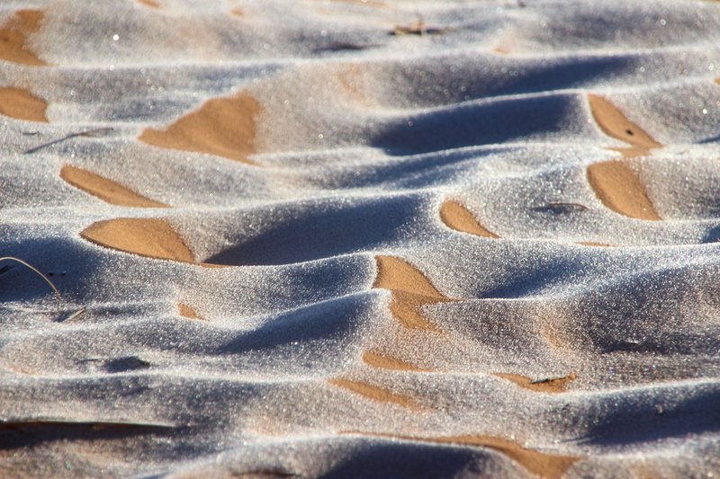 Sahara