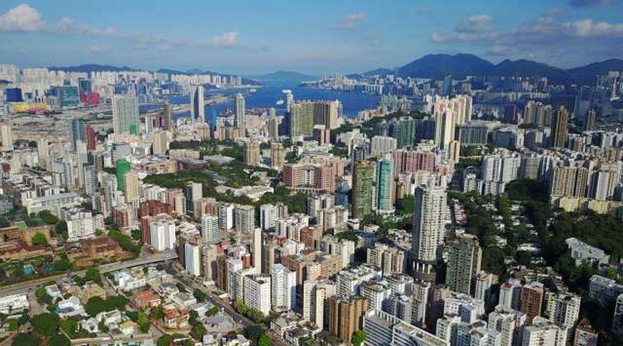 V Hongkongu množične usmrtitve hrčkov in malih hišnih ljubljenčkov (foto: Xinhua/STA)